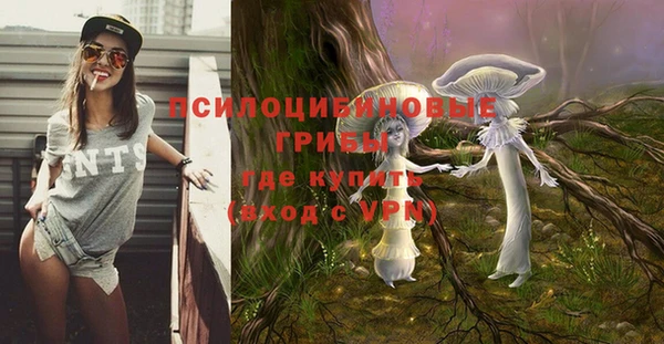 СК Пересвет