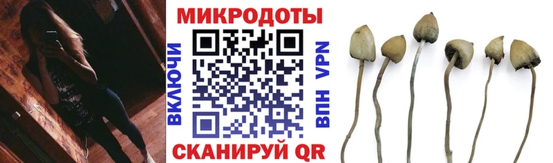 Псилоцибиновые грибы Psilocybine cubensis  Ленск 